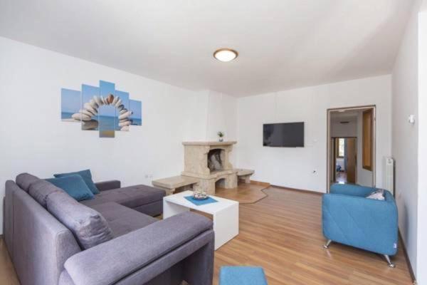 Apartments "Alen" Nedescina Экстерьер фото