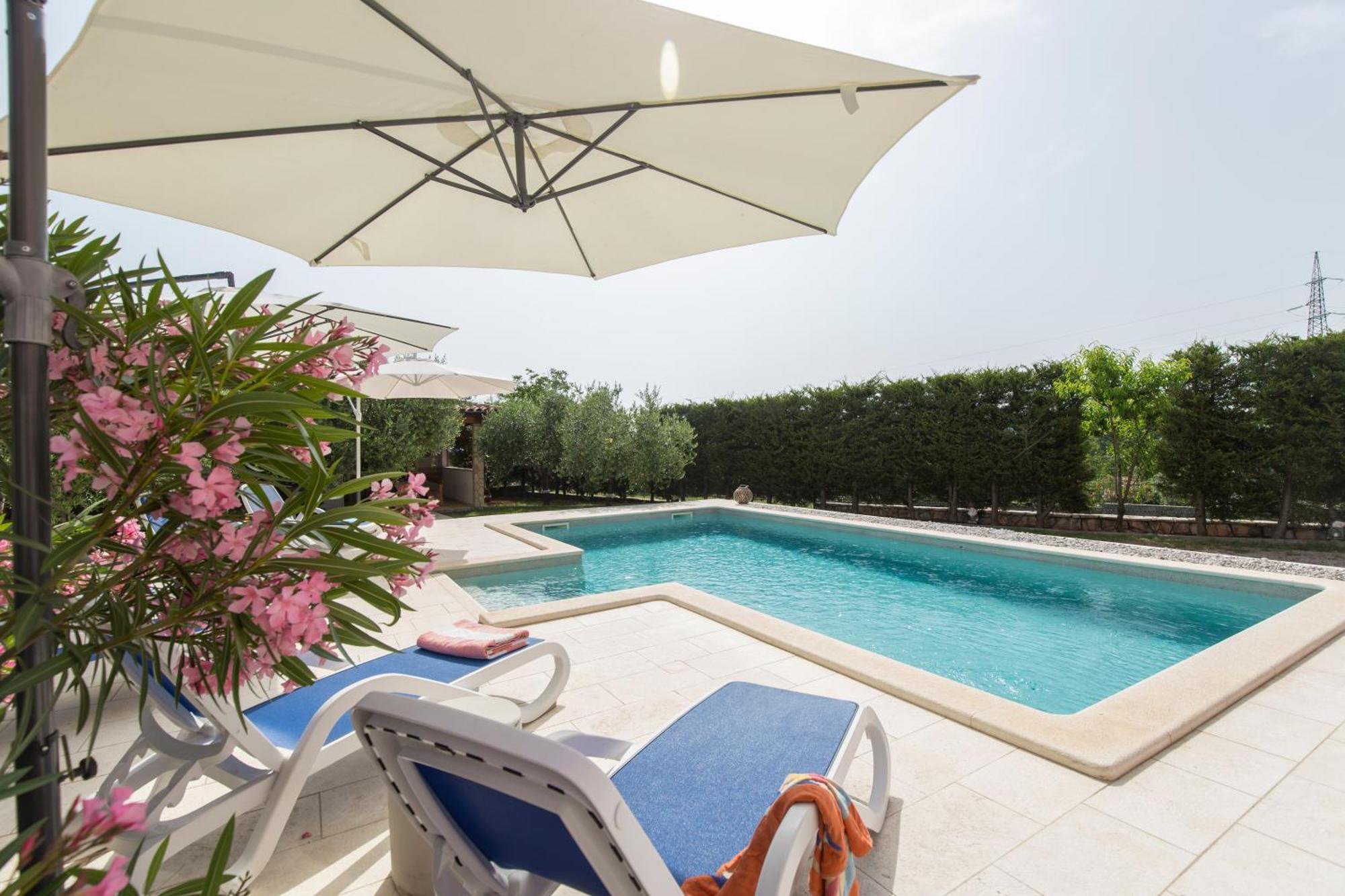Apartments "Alen" Nedescina Экстерьер фото